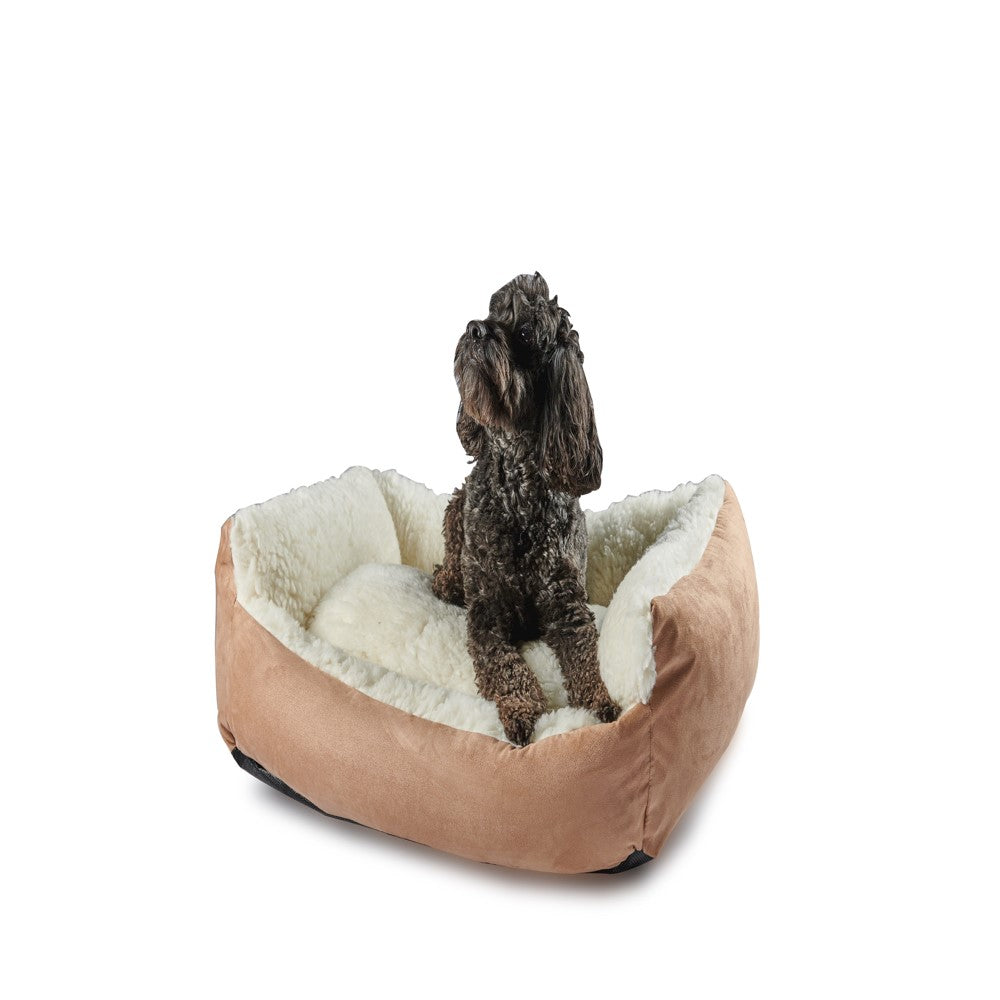 Bronte glen outlet vet bed