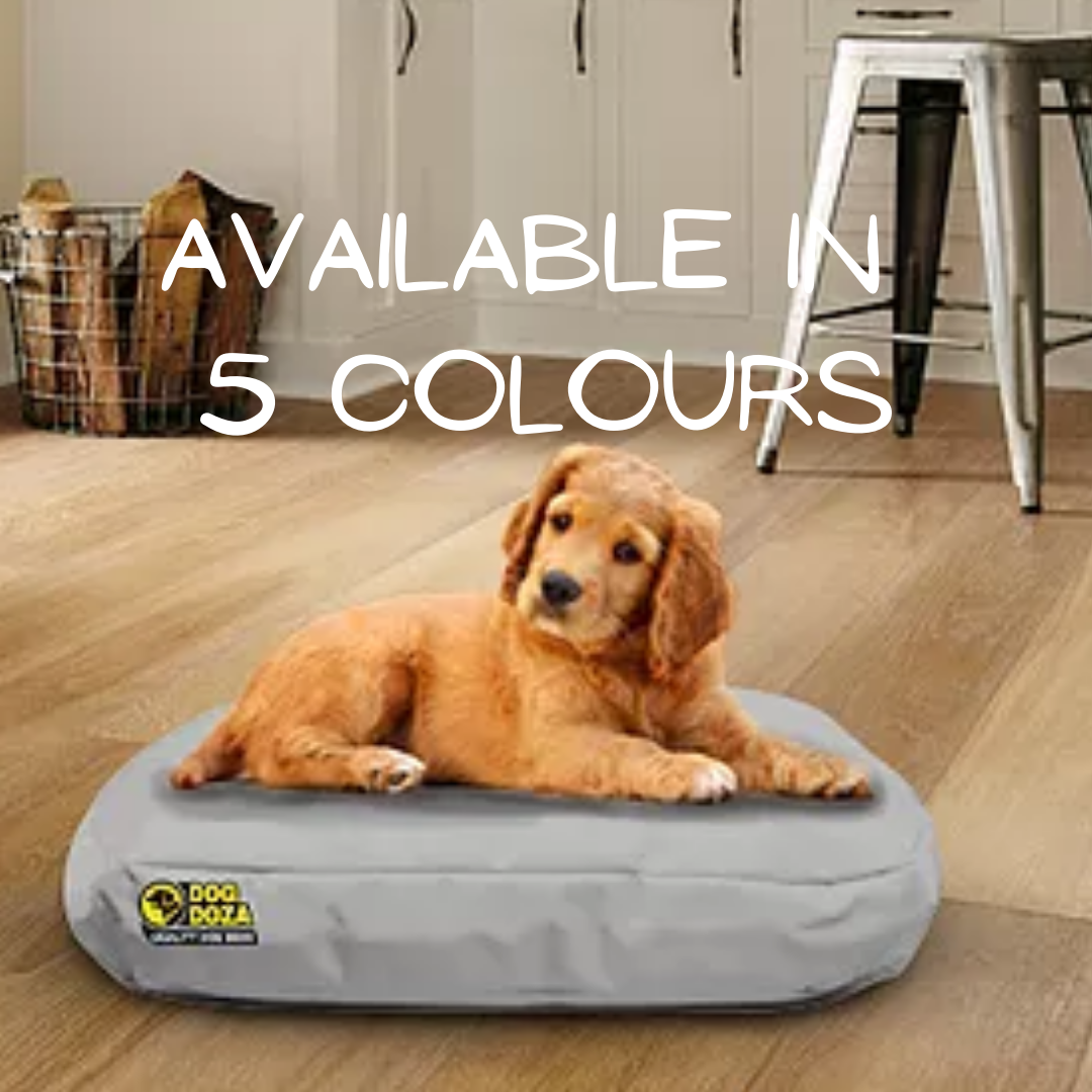 Loft hotsell dog bed